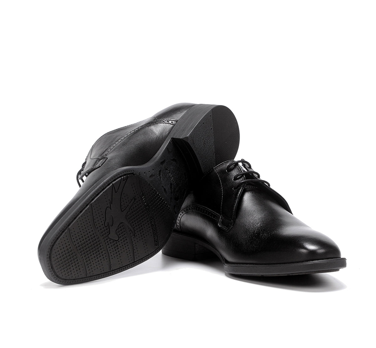 Fluchos Zapatos Luke F1056 derbies noir homme cuir