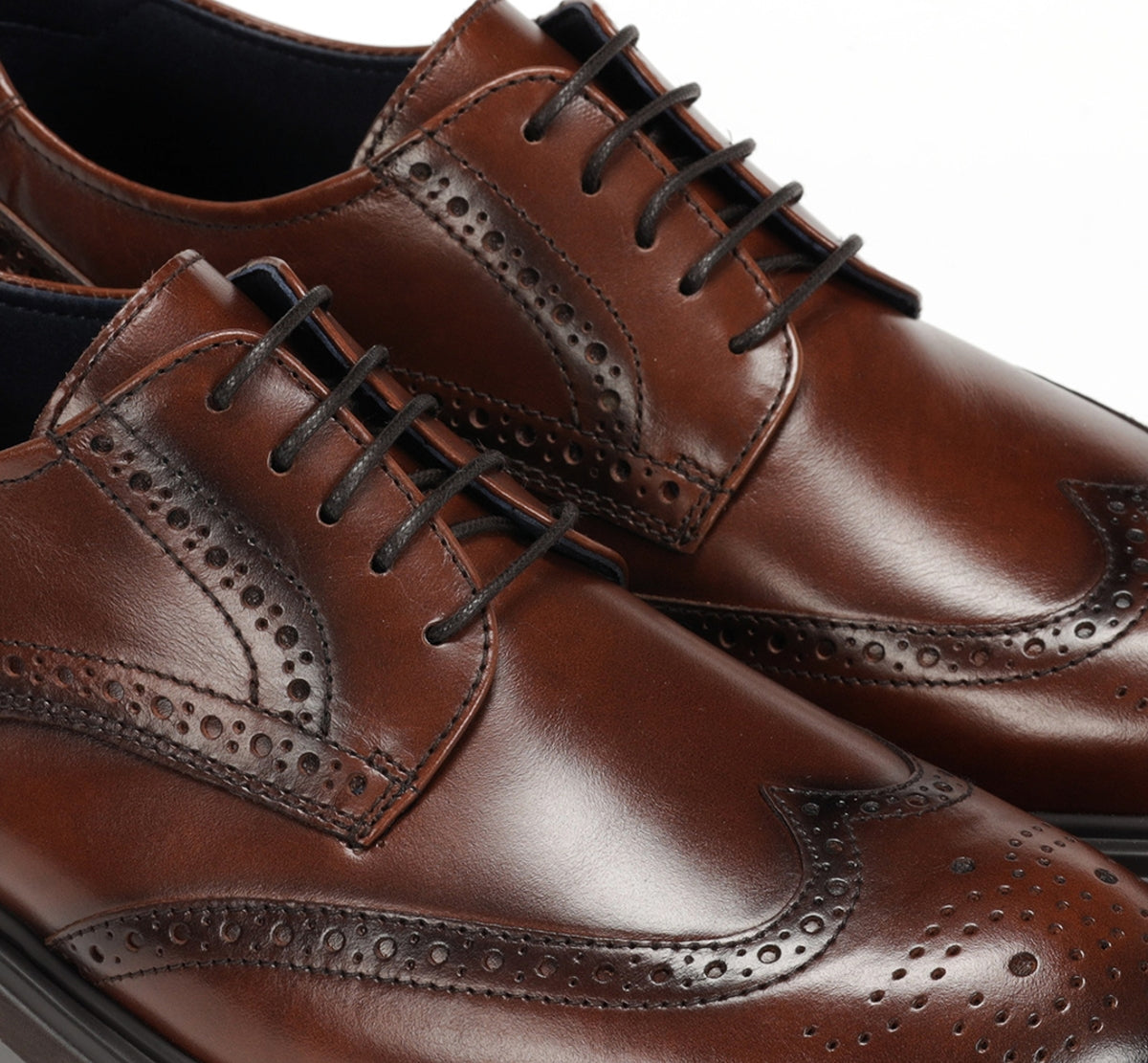Fluchos Belgas F0628 derbies marron cuir homme