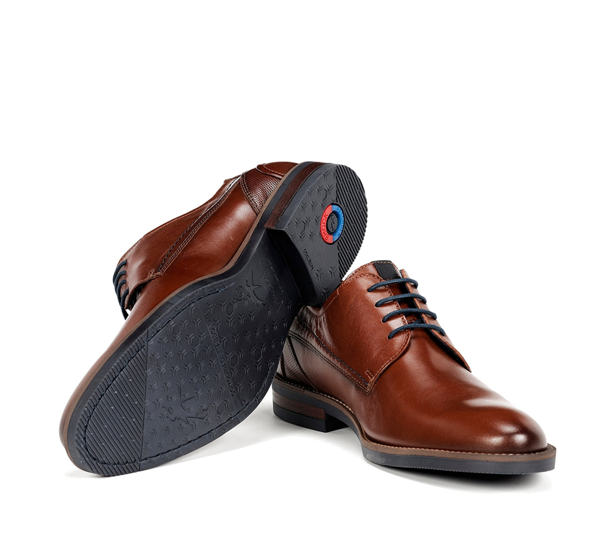 Fluchos Zapatos Theo F1629 chaussures marron homme